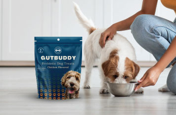 pet food flexible packaging trends stand up pouch